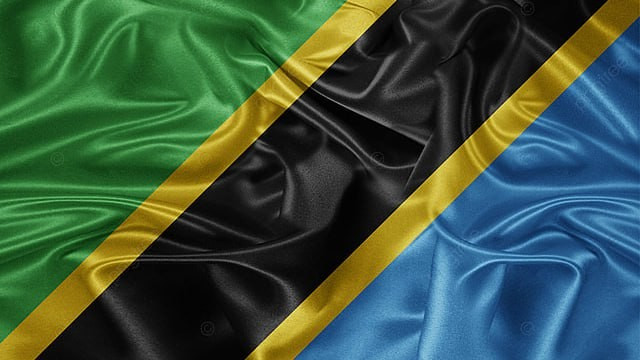 Tanzania Flag